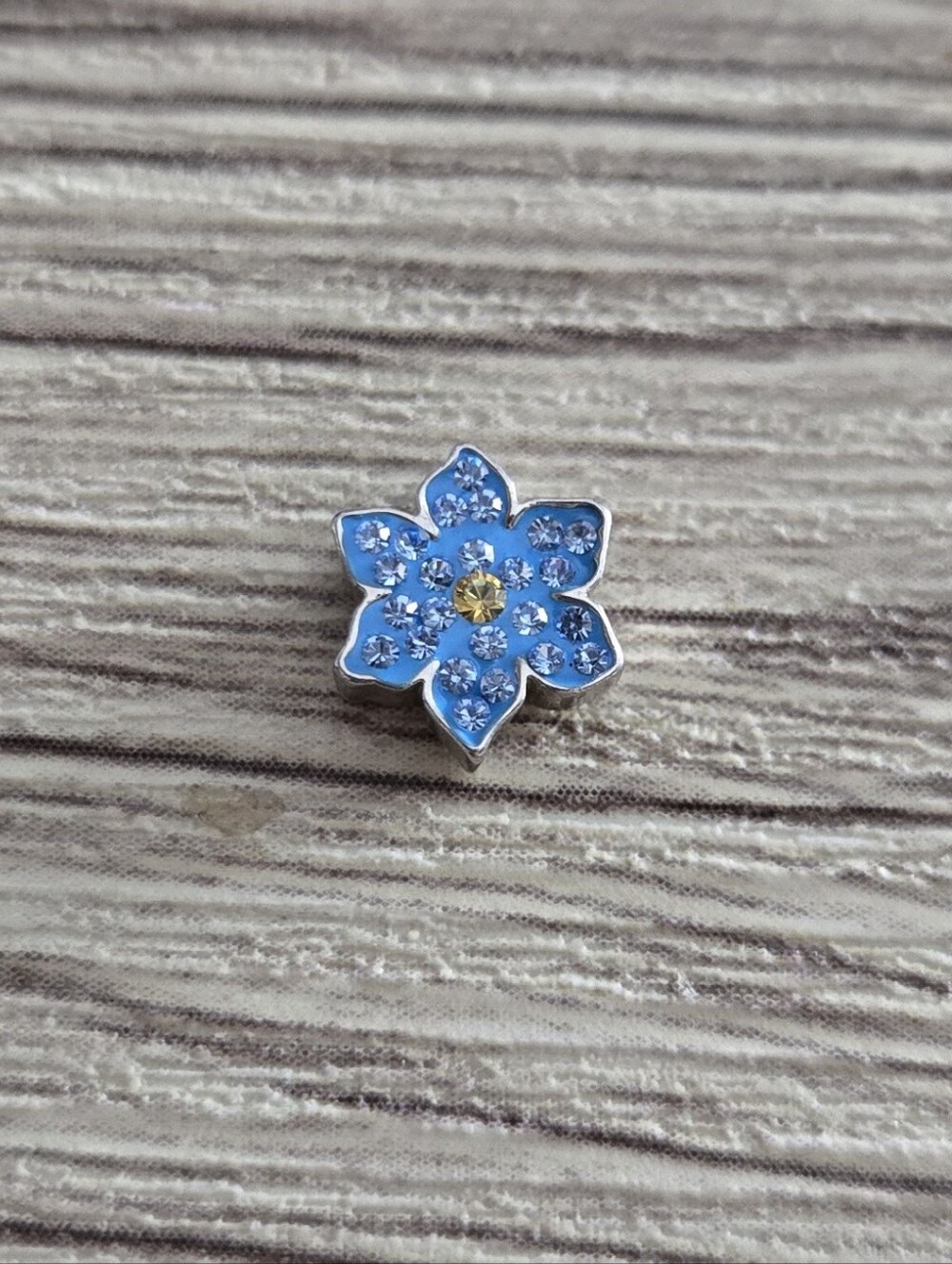 🦉HTF Sparkle Forget Me Not Charm